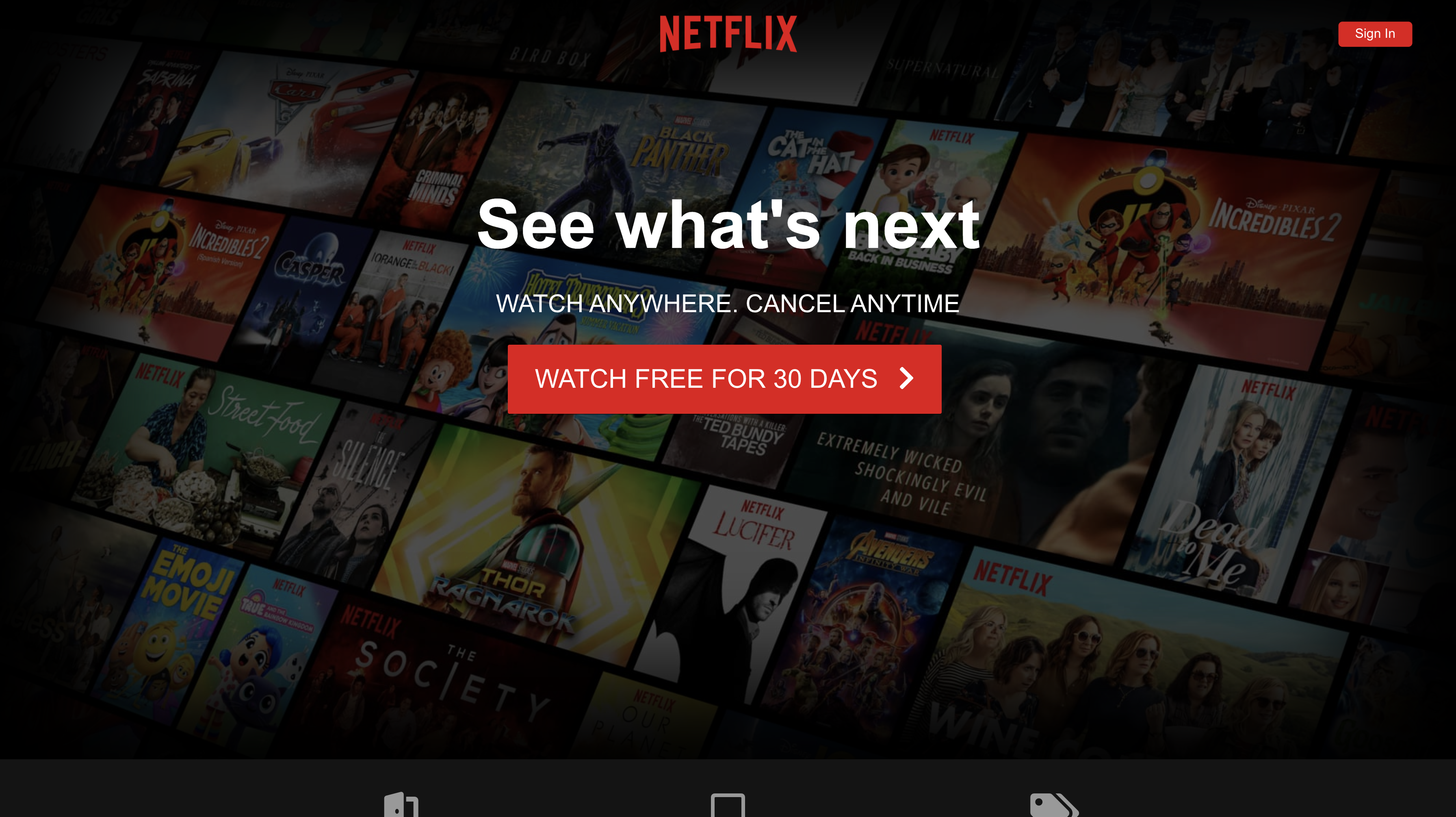 Illustration of Netflix replica